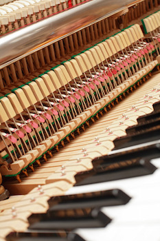 My Piano’s Soundboard Is Cracked … Now What?