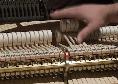What Is A Registered Piano Technician?