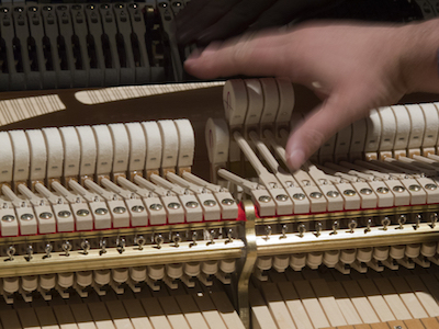 What Is A Registered Piano Technician?