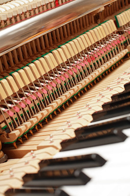 What Wood Is Best For Making A Piano