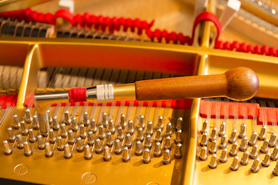 grand piano top view strings